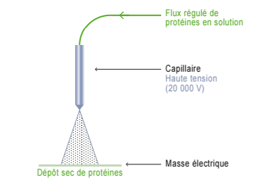 La technologie innovante, développée par DBV Technologies