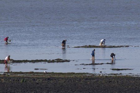 Club nautique, Bretagne à Vélo, trail des Ébihens, sites historiques, criques sauvages...